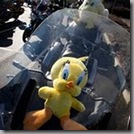 Easter Egg Run 2010