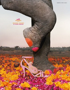[Hermes Elephant[6].jpg]