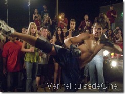 Never Back Down