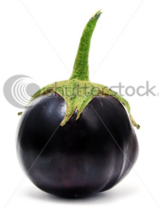 stock-photo-a-round-eggplant-isolated-on-a-white-background-59226370 (1)