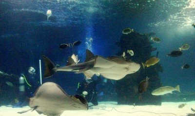 [Picture 035[5].jpg]