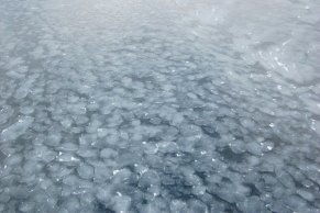 Snöplättar