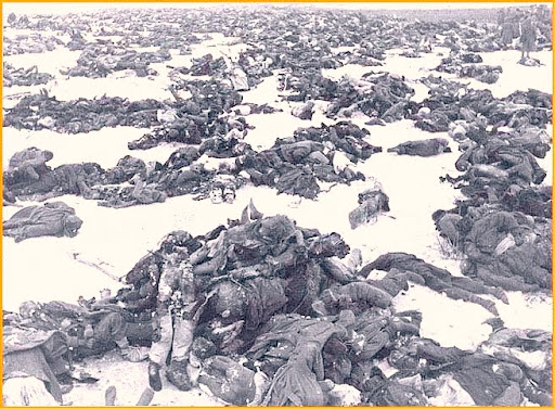 http://lh5.ggpht.com/_hFyIVHLPW40/TQ25N4-YTdI/AAAAAAAAFvY/e7T6ScvZ8HQ/stalingrad_dead_german_invaders.jpg