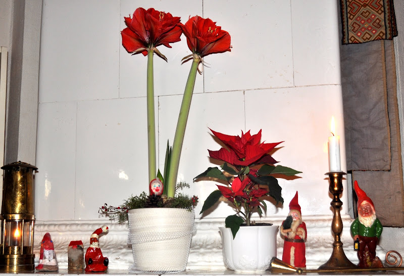 http://lh5.ggpht.com/_hFyIVHLPW40/TRsHeseD8UI/AAAAAAAAFyo/MlbSgNOmiCY/s800/Jul%2029.12.10%20002.JPG