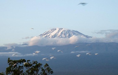 [Mt.-Kilimanjaro[4].jpg]