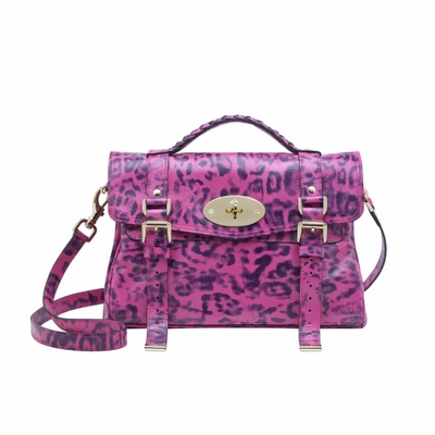 alexamulberrysatchel1 Alexa Mulberry Satchels 