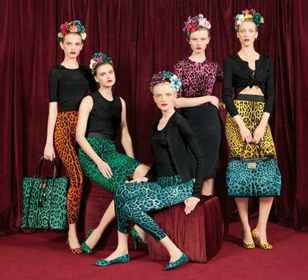 D&G Fall 2010 Collection DolceGabbana Fall 2010 LookBook 1 D&G Fall 2010 Collection