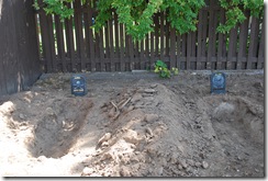 A backyard plot