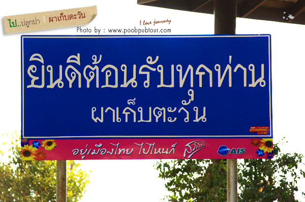 ผาเก็บตะวัน