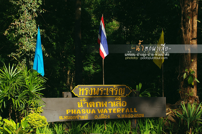 IMGP7275_s.jpg