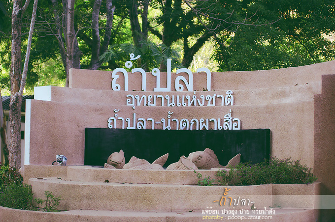 IMGP7296_s.jpg
