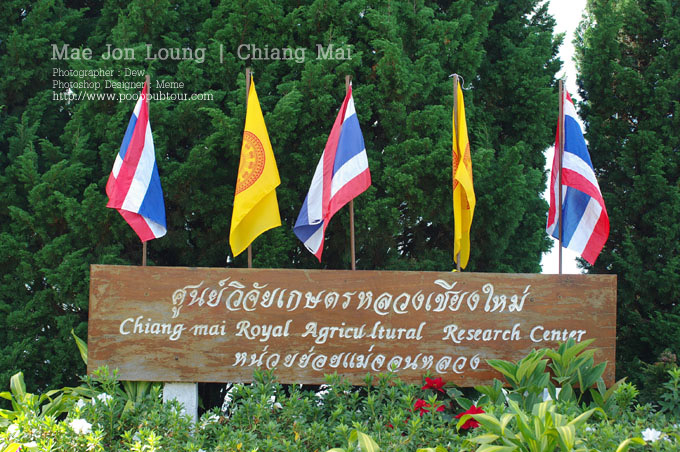IMGP1337_s.jpg