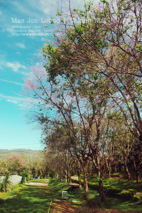 IMGP1217_s.jpg