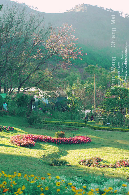 IMGP1553_s.jpg