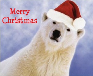 [polar_bear_christmas[2].jpg]