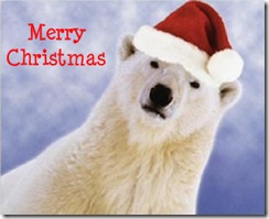 polar_bear_christmas