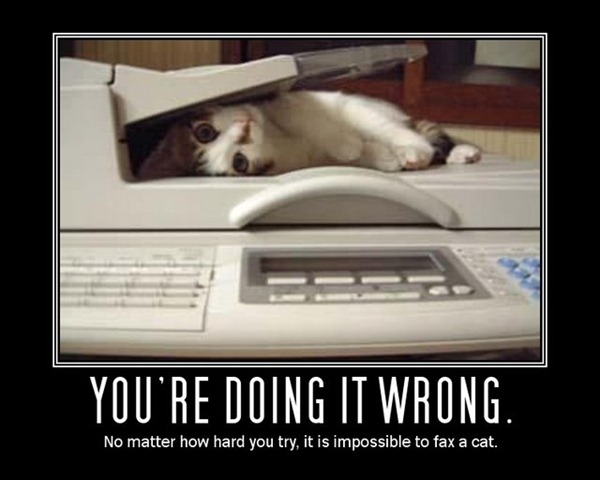 [fax cat[3].jpg]