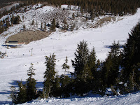 DSC03928.JPG
