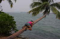 IMG_5445.JPG