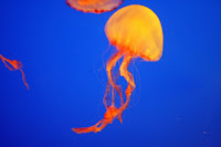 IMG_5532.JPG