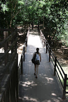 IMG_4521.JPG