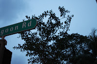IMG_6164.JPG