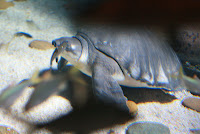 IMG_0103.JPG