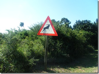 Gazelle sign