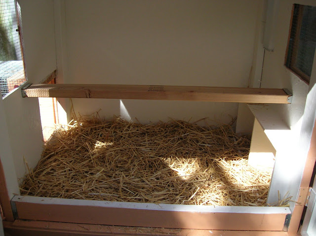 straw in the chicken coop