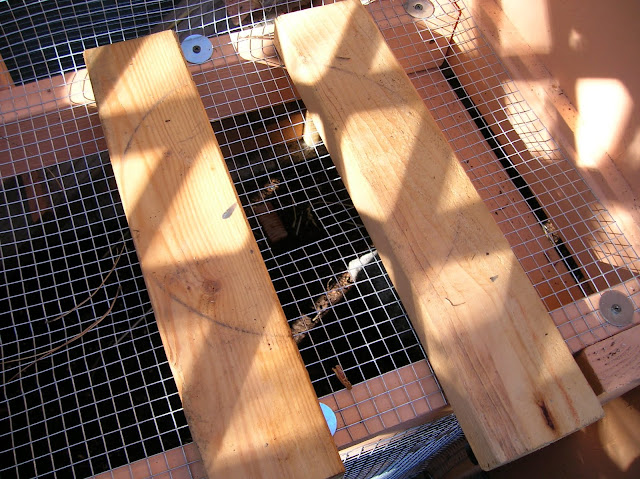 pvc chicken waterer