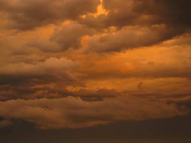 [IMG_04792.jpg]