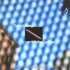[White_Ladder[2].jpg]