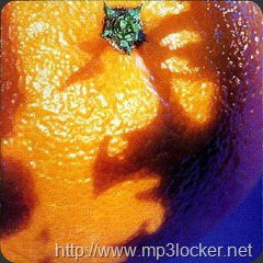 Picture_of_Nectar_cover