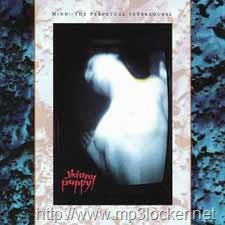 [MindPerpetualAlbumCover[3].jpg]