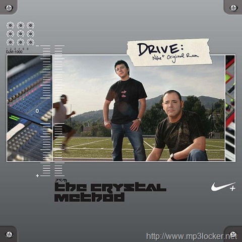 [600px-Drive-nike-plus-original-run[2].jpg]
