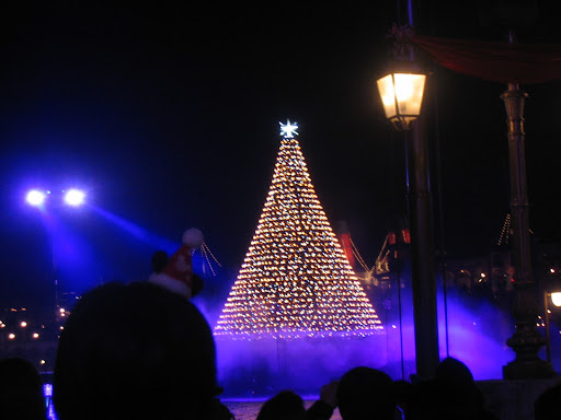 Christmas Light Show