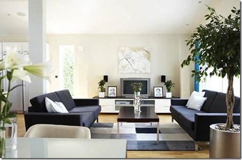 multifuctional-minimalist-living-room