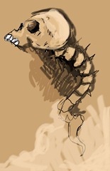 Craneo_01