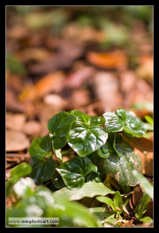 [_MG_0715[2].jpg]