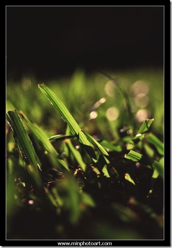 Slide-12