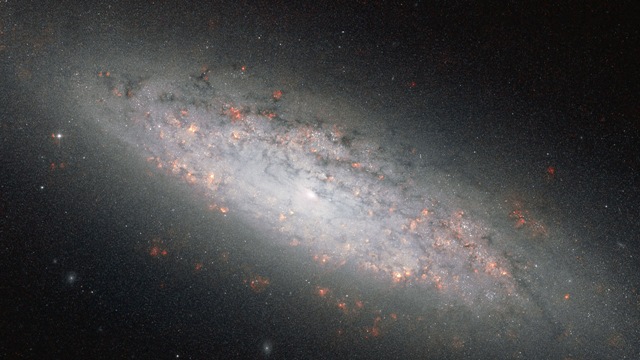 [NGC 6503[14].jpg]