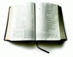 [Clipboard01[8].gif]