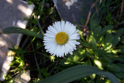 Tausendsch�n