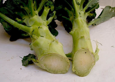 Brassica oleracea var. botrytis,
Blumenkohl,
broccoli,
cauliflower,
cavolfiore,
chou brocoli,
chou-fleur,
coliflor,
couve-flor,
hua ye cai Brassica oleracea var. botrytis,
Blumenkohl,
broccoli,
cauliflower,
cavolfiore,
chou brocoli,
chou-fleur,
coliflor,
couve-flor,
hua ye cai