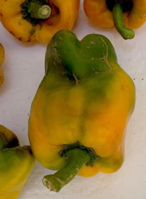Cayenne pepper