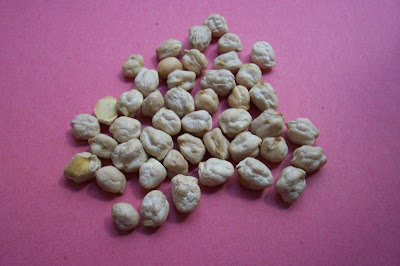 Garbanzo