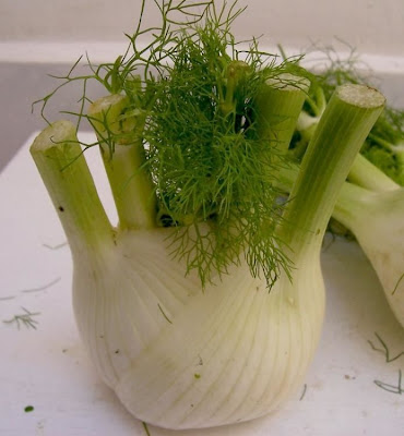 Fenchel Fenchel
