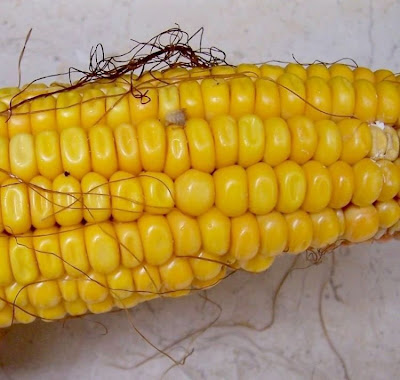 Frumentone