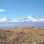 Ararat (46).jpg