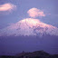 Ararat (61).jpg